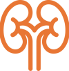 kidney_Icon_Orange kidney_Icon_Orange